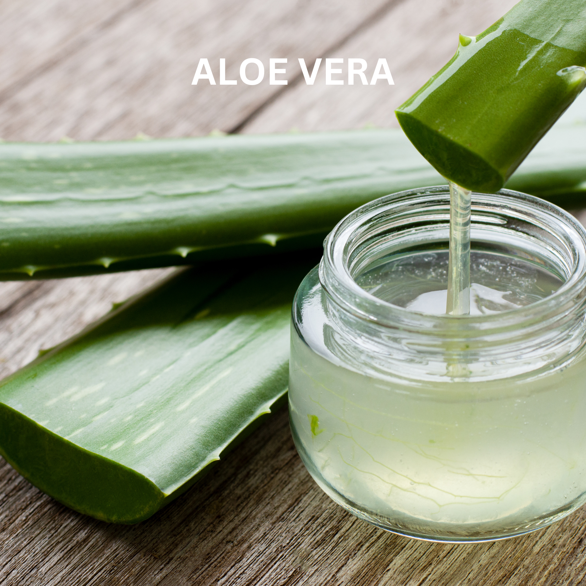 Aloe Vera als pflanzlicher Wirkstoff in Doctor Derma Zellpower Tonik – spendet Feuchtigkeit, beruhigt empfindliche Haut und unterstützt ein frisches, glattes Hautbild.