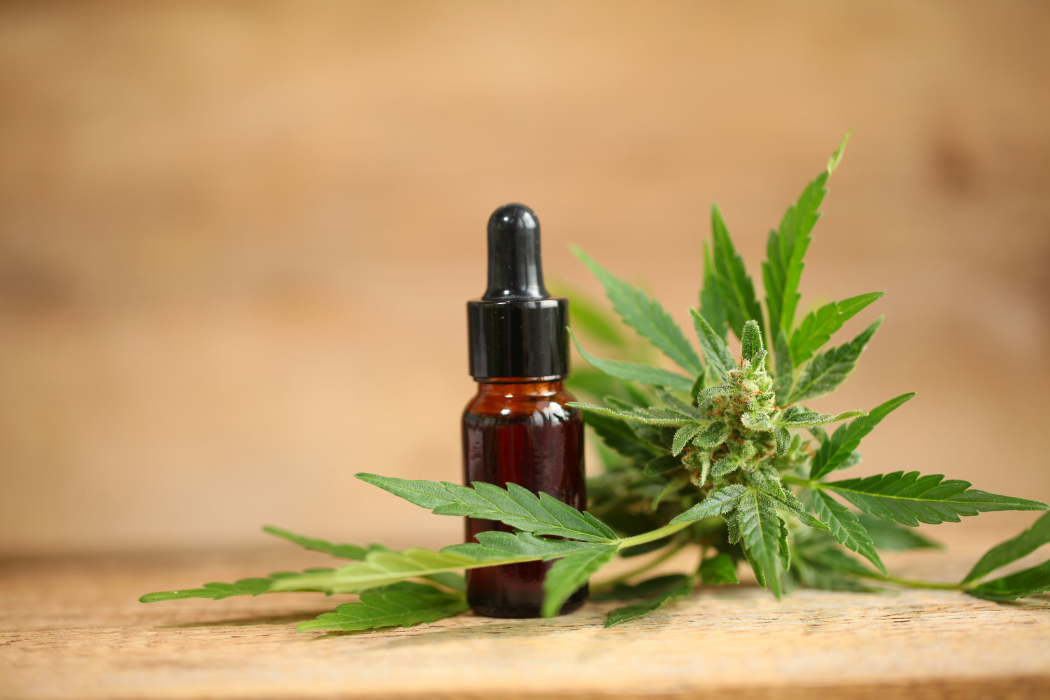 CBD in der Hautpflege – natürliche Balance für empfindliche Haut
