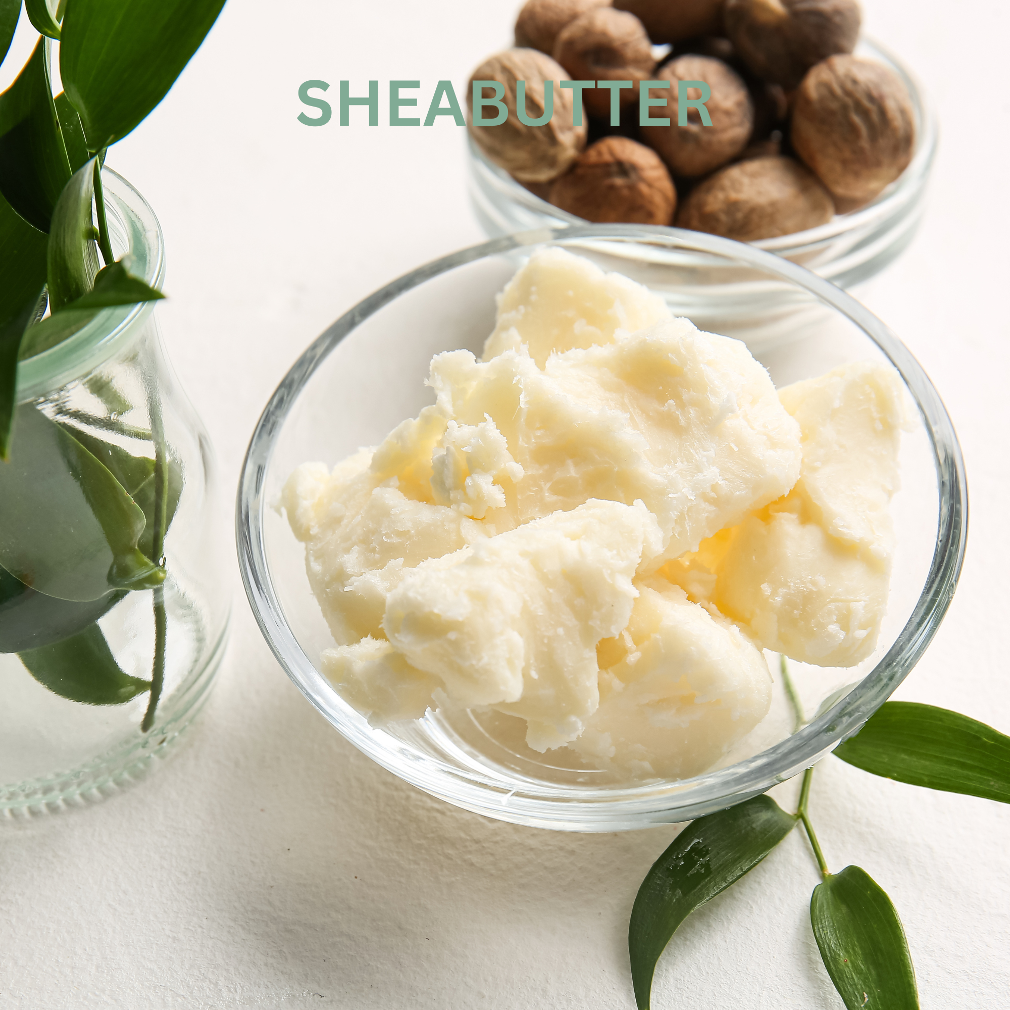 Reichhaltige Bio-Sheabutter als pflegender Inhaltsstoff für das feste DOCTOR DERMA Pure Calm Boost Shampoo. Spendet Kopfhaut und Haar intensive Feuchtigkeit und schützt vor Trockenheit.